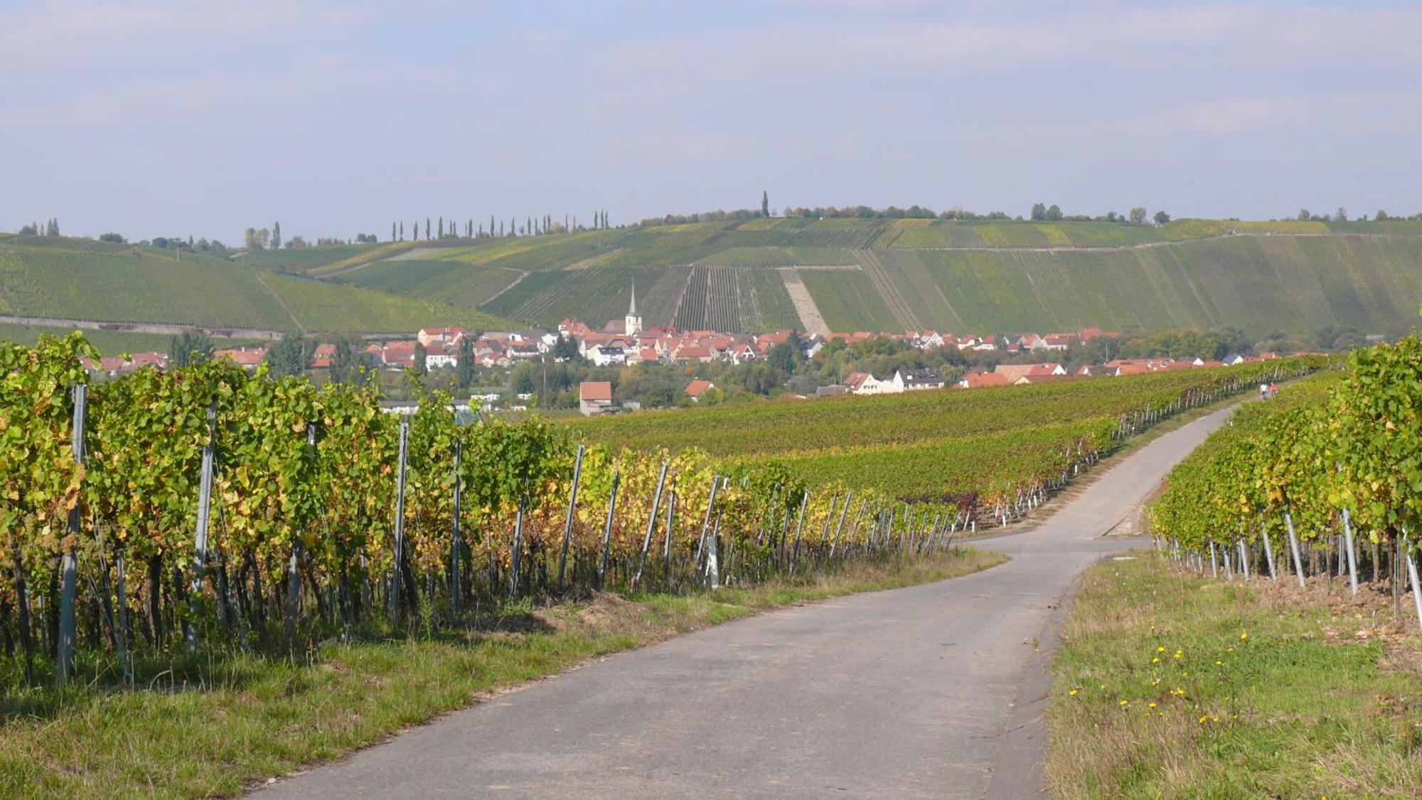 Weingut Herbert Kram Nordheim am Main Exterior foto